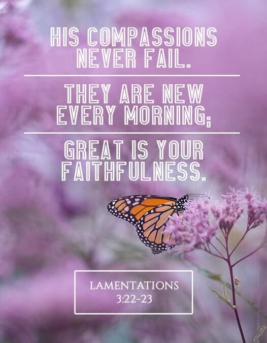 Lam 3:22-23
