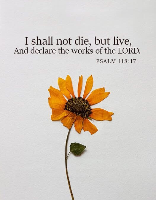 Psalm 118:17
