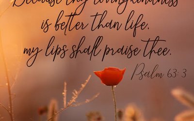 Psalm 63:3
