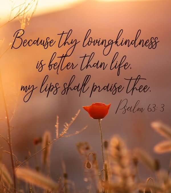 Psalm 63:3