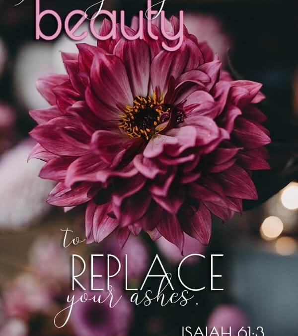 Isaiah 61:3
