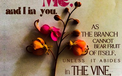 John 15:4