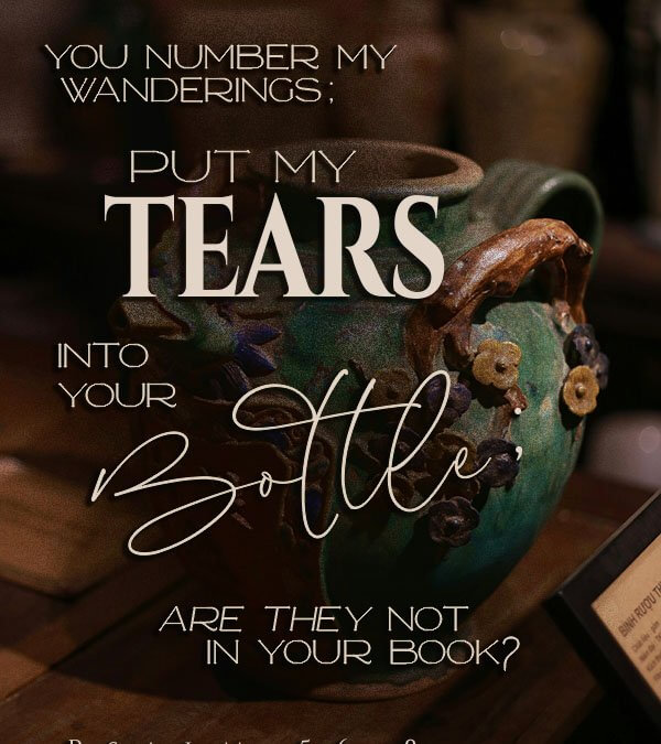 Psalm 56:8