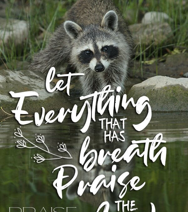 Psalm 150:6