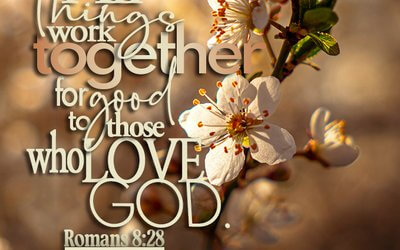 Romans 8:28