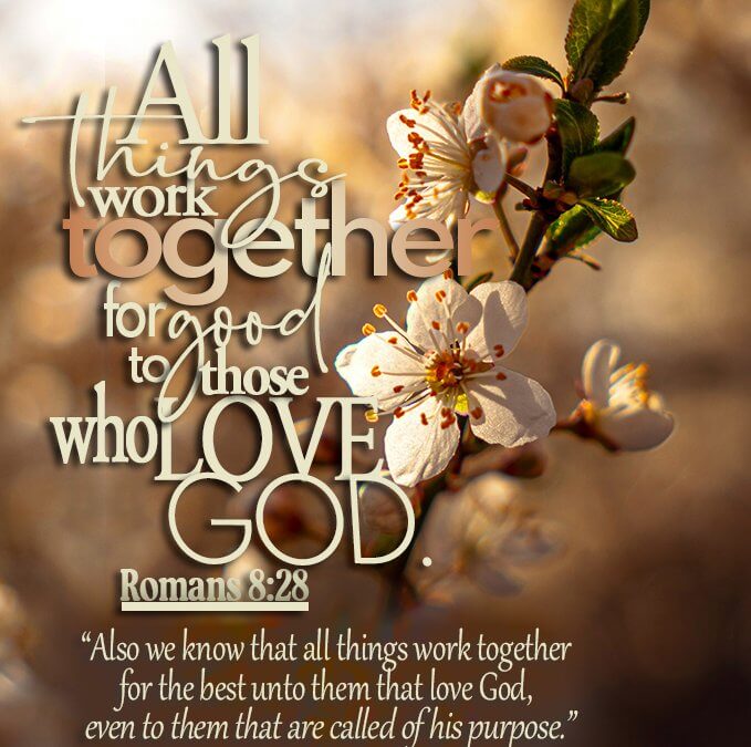 Romans 8:28