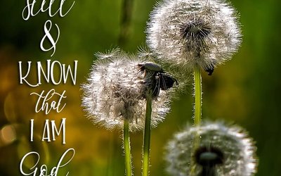 Psalm 46:10
