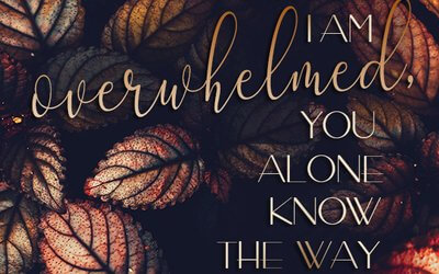 Psalm 142:3