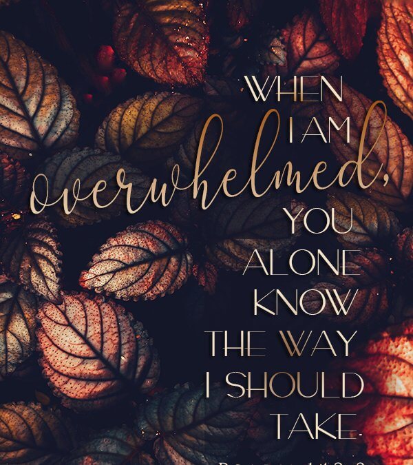 Psalm 142:3