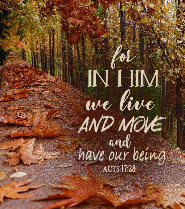 Acts 17:28