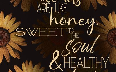 Proverbs 16:24
