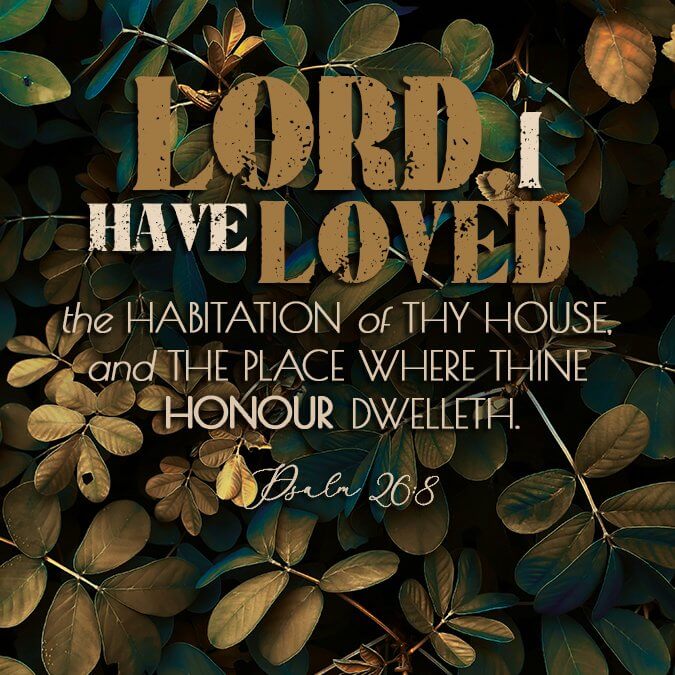 Psalm 26:8